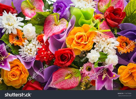 shutterstock flowers